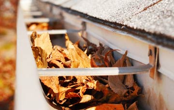 Daresbury Delph gutter cleaning companies
