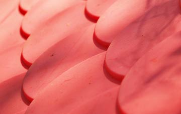 Daresbury Delph plastic roof costs