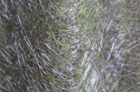 Daresbury Delph fibreglass roof work